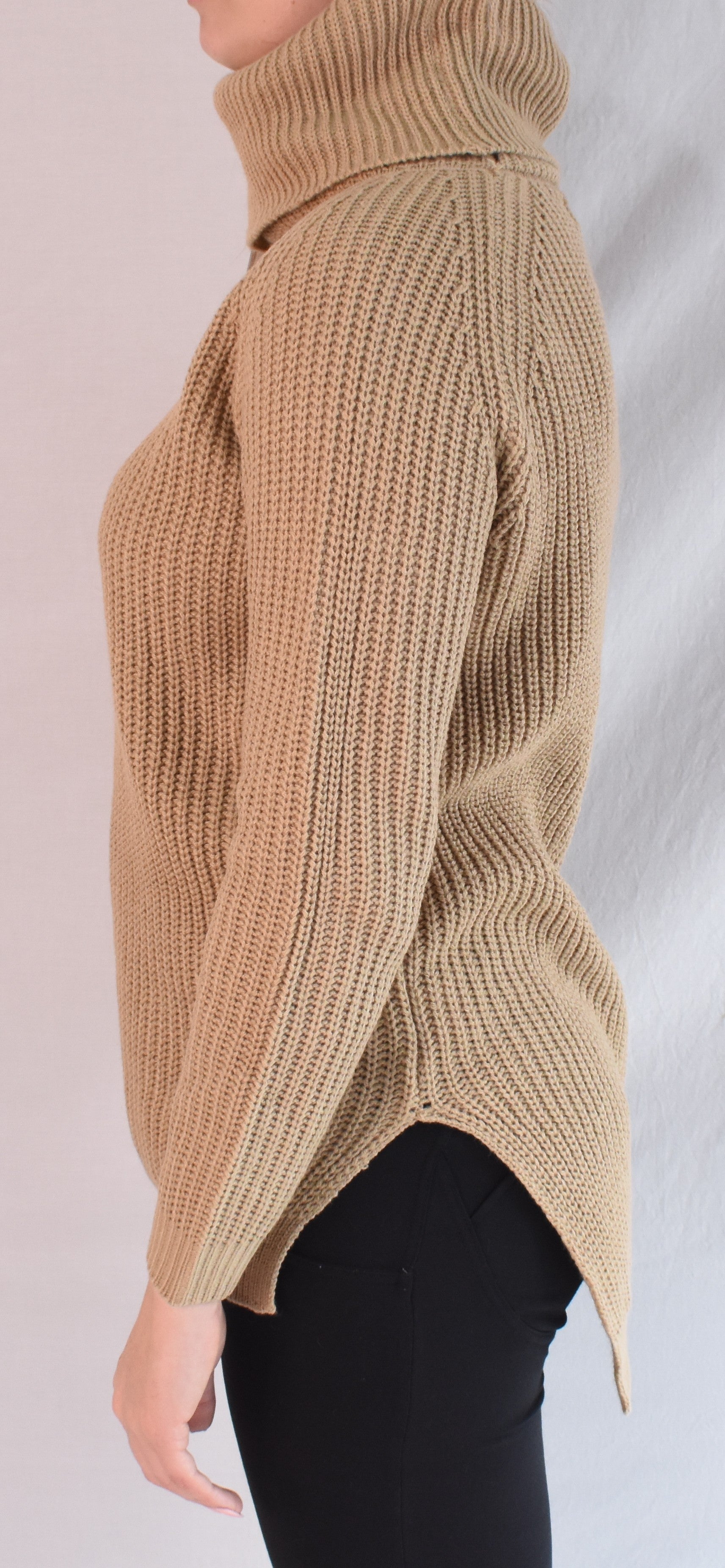 Stripped Turtleneck Sweater